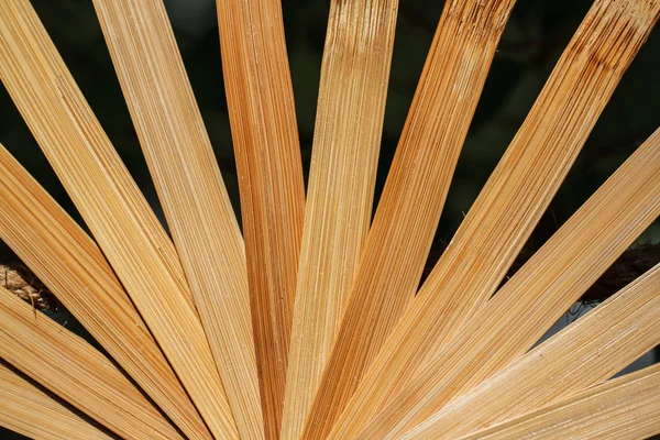 Fan made from bamboo — Stock Photo, Image