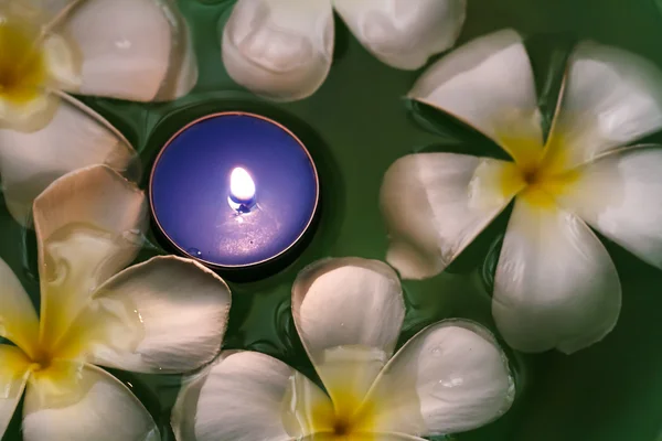 Plumeria flores velas perfumadas — Foto de Stock