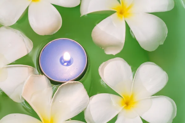 Plumeria fiori candele profumate — Foto Stock