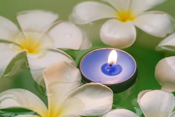鸡蛋花的花朵香味的蜡烛 — 图库照片