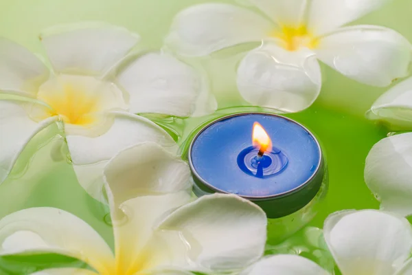 Plumeria fiori candele profumate — Foto Stock