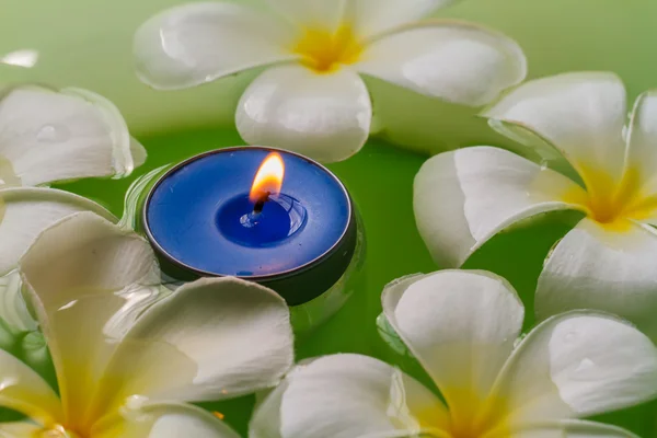 Plumeria fiori candele profumate — Foto Stock