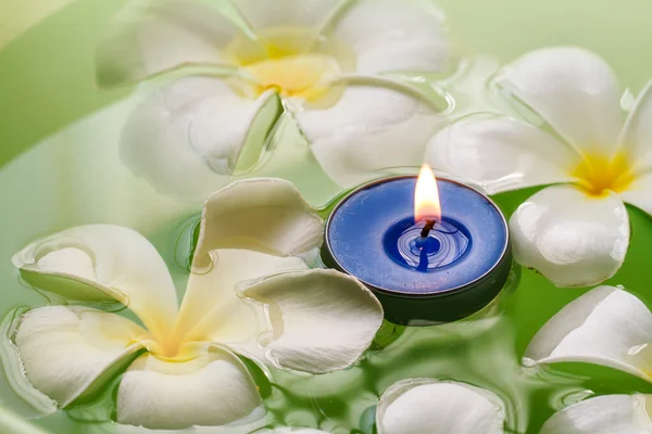 鸡蛋花的花朵香味的蜡烛 — 图库照片