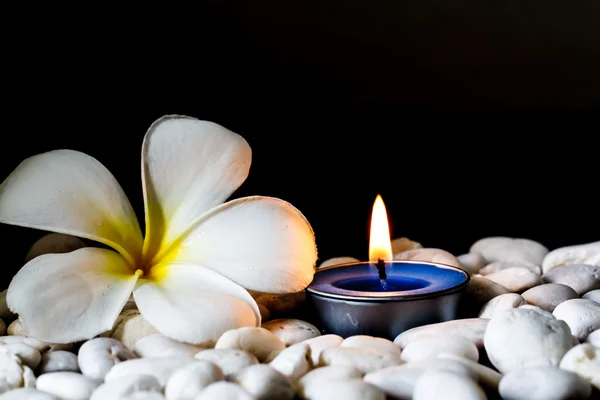 Plumeria fiori candele profumate — Foto Stock