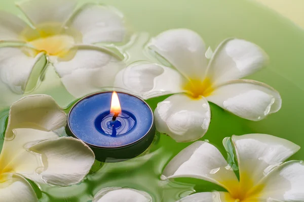 Plumeria fiori candele profumate — Foto Stock