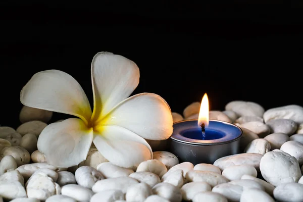 Plumeria flores velas perfumadas — Foto de Stock