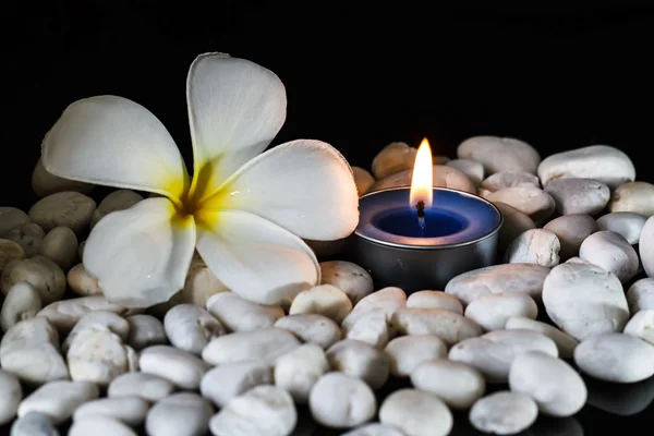 Plumeria fiori candele profumate — Foto Stock