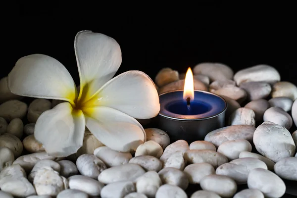 Plumeria flores velas perfumadas — Foto de Stock