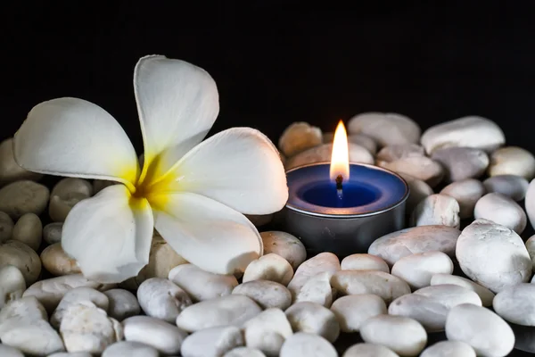 Plumeria flores velas perfumadas — Fotografia de Stock