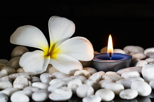 Plumeria flores velas perfumadas — Foto de Stock