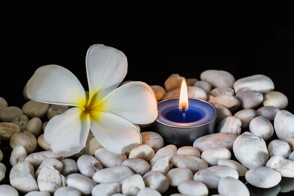 Plumeria flores velas perfumadas — Foto de Stock