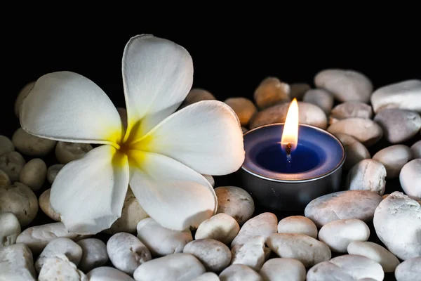 Plumeria flores velas perfumadas — Foto de Stock