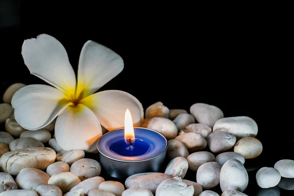 Plumeria flores velas perfumadas — Foto de Stock