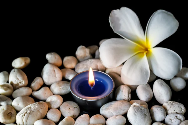 Plumeria fiori candele profumate — Foto Stock