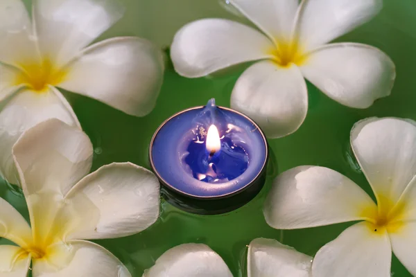 Plumeria flores velas perfumadas — Foto de Stock