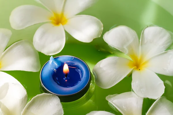プルメリアの花の香りのキャンドル — ストック写真