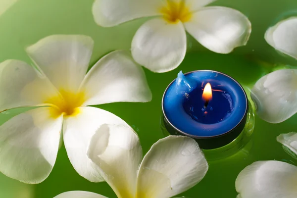 Plumeria fiori candele profumate — Foto Stock