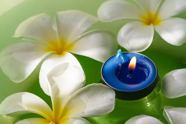 Плюмерия цветы ароматные свечи — стоковое фото