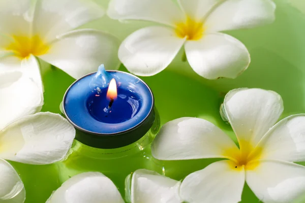 Plumeria flores velas perfumadas — Foto de Stock