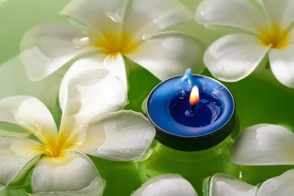 Plumeria flores velas perfumadas — Foto de Stock