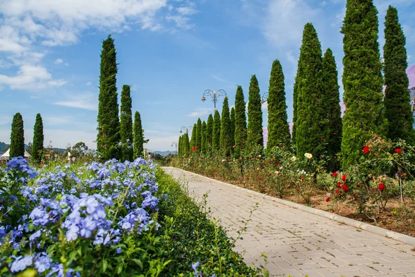 Spaziergang im Park — Stockfoto