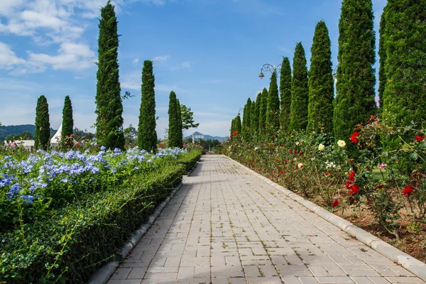 Wandelen in het park — Stockfoto