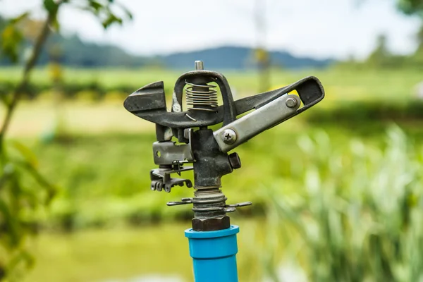 Vatten sprinkler i trädgården — Stockfoto