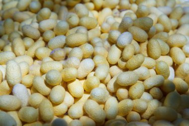 İpek koza desen fabrikası