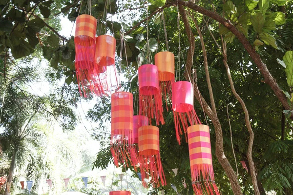 Lanterna stile tailandese su albero — Foto Stock