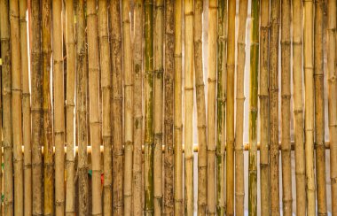 Bambu dokusu arkaplanı