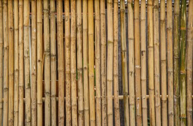 Bambu dokusu arkaplanı