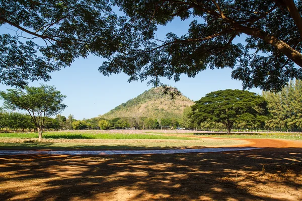 Unter dem Baum — Stockfoto