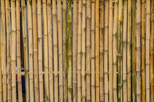 Fundo de textura de bambu — Fotografia de Stock