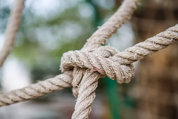 Rope knotted. — Stock Photo, Image