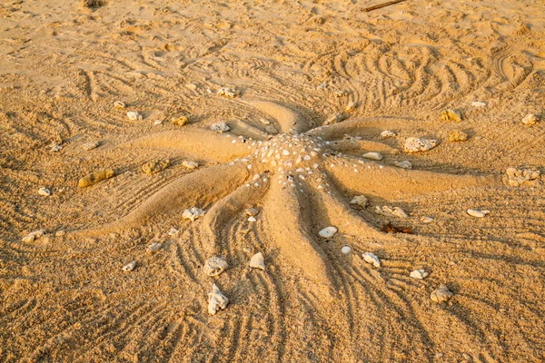 Sjöstjärna på stranden sand skulptur — Stockfoto