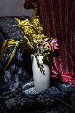 Kuru çiçekler natürmort