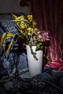 Kuru çiçekler natürmort