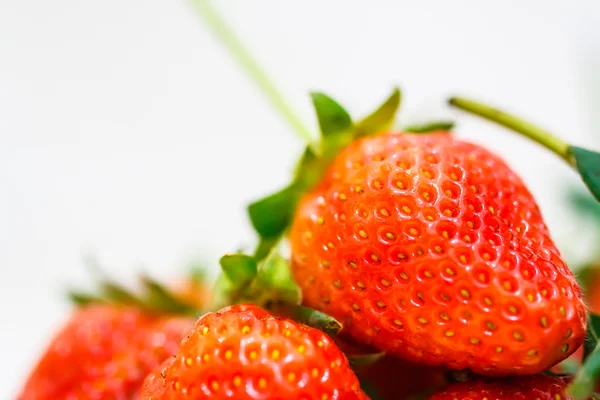 Erdbeeren auf weißem Hintergrund. — Stockfoto