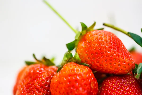 Erdbeeren auf weißem Hintergrund. — Stockfoto