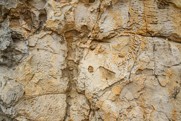 Fondo de textura de piedra — Foto de Stock