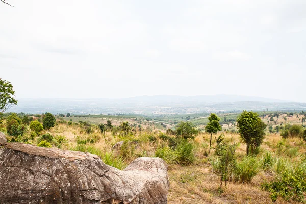 Montanha Tailândia seca — Fotografia de Stock