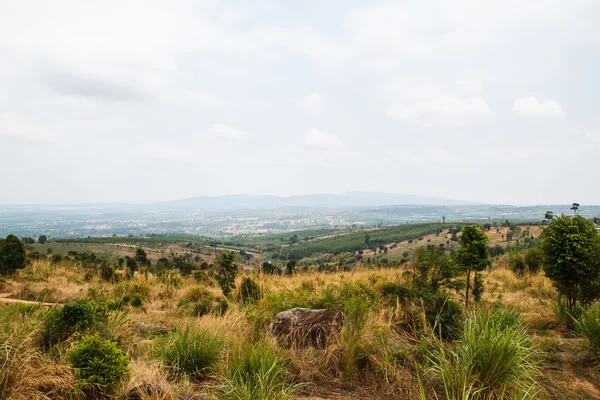 Montanha Tailândia seca — Fotografia de Stock