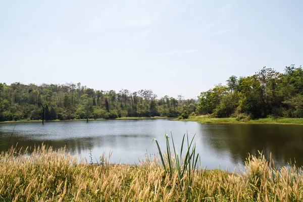 Fontes naturais do Lago Tailândia — Fotografia de Stock