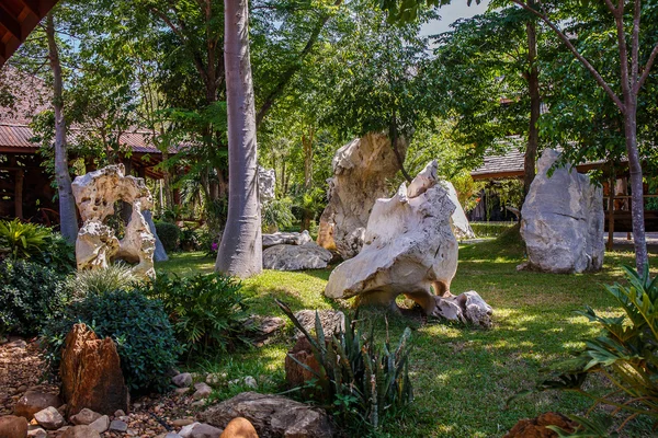 Garten mit Stein — Stockfoto