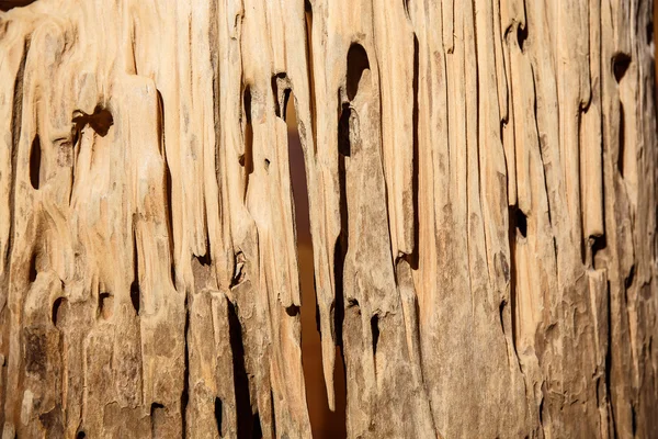 Holz Hintergrund — Stockfoto