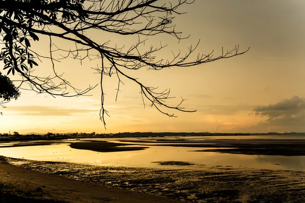 Sfeer bij zonsopgang op het strand — Stockfoto