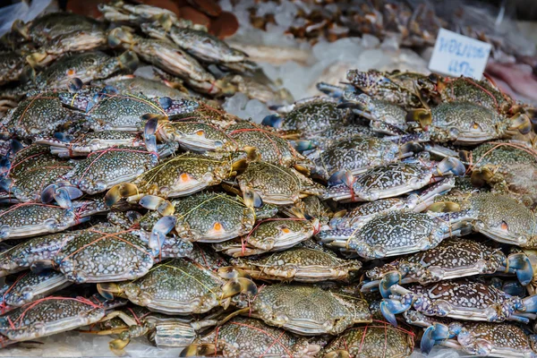 Sea krabba färska skaldjur i marknaden i thailand — Stockfoto