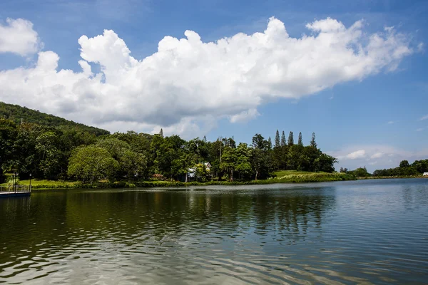 Lac dans le parc — Photo