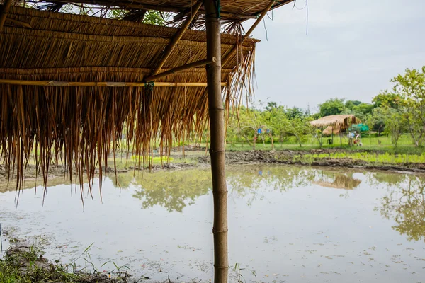 Bajo techo de paja en la cabaña en el campo de Tailandia — Foto de Stock