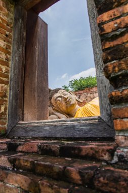 Antik Buda 500'den fazla y